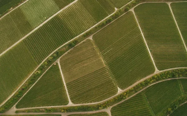 depositphotos_192452924-stock-photo-bird-eye-view-green-agricultural