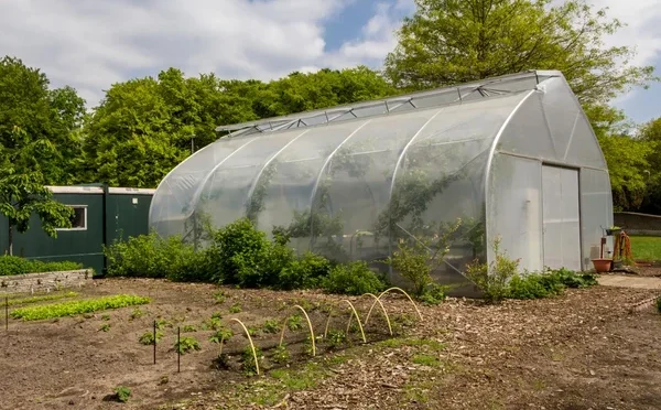 depositphotos_49069155-stock-photo-urban-agriculture